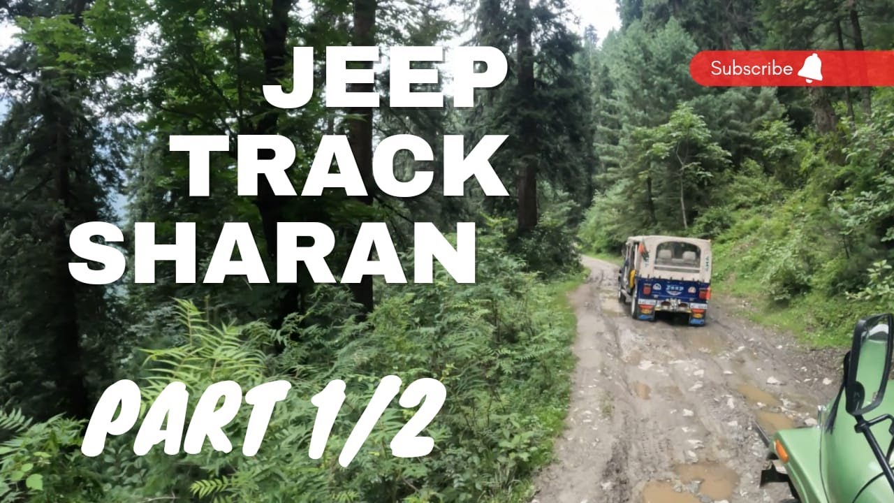 Sharan Forest | Part 1 | Jeep Track