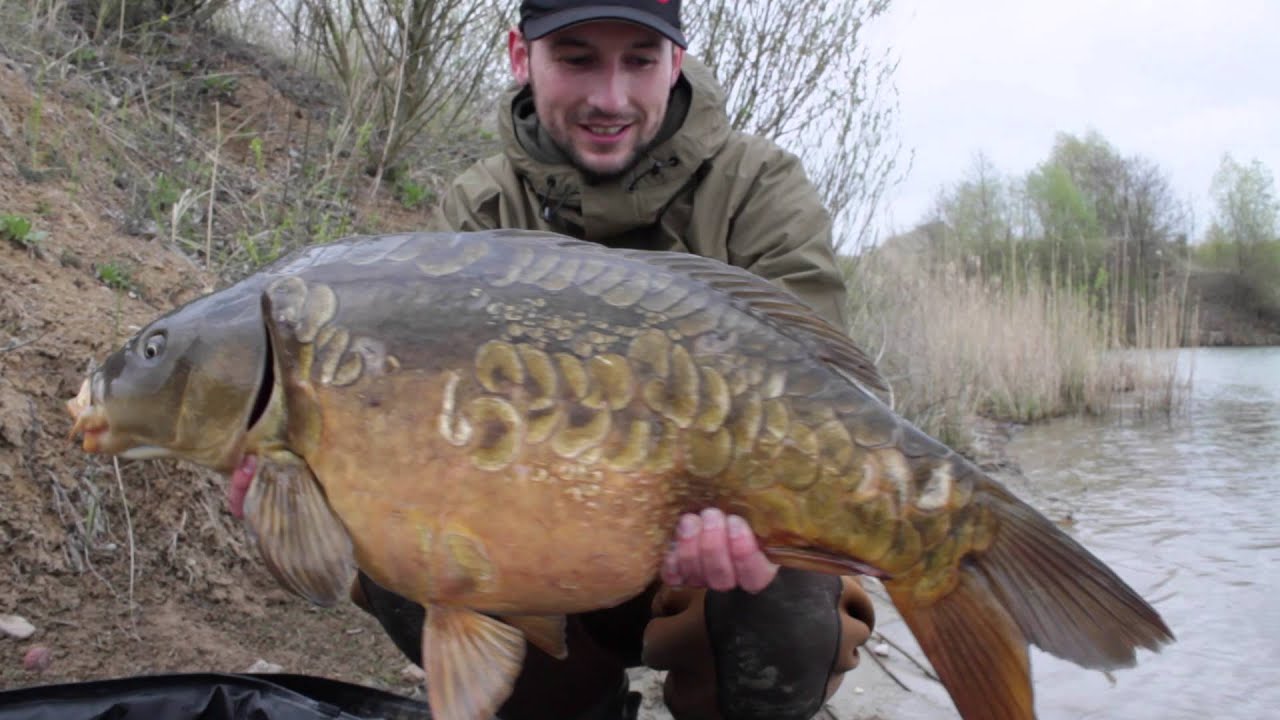 Einfach nur Karpfenangeln, Abenteuer, Leidenschaft, Erlebtes