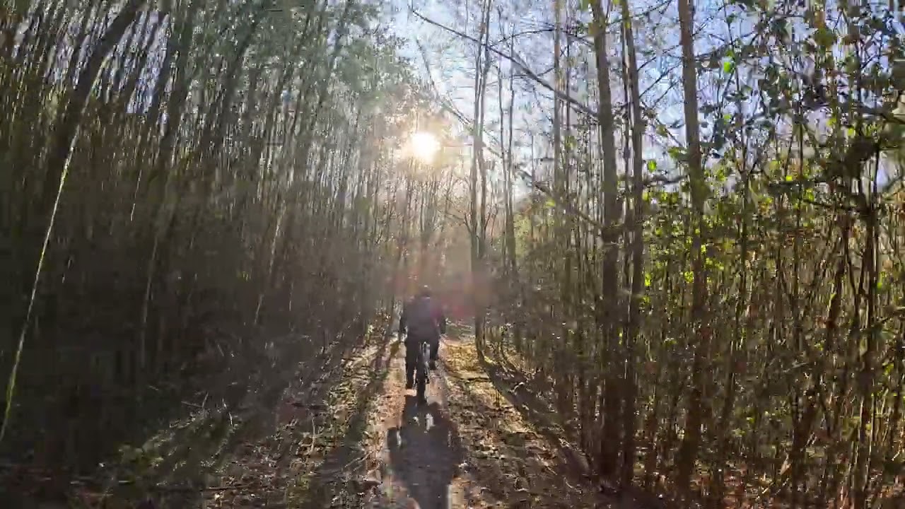 MTB Tour Brachter Wald - Hardtail Trailriding