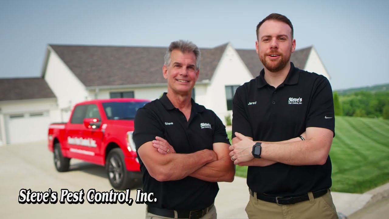 Steve's Pest Control Ants 30s