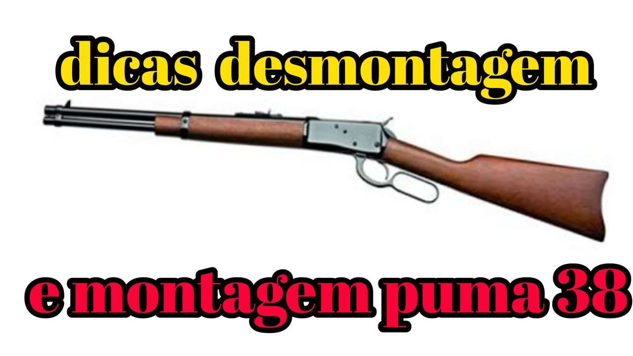 DESMONTAGEM E MONTAGEM PUMA 38