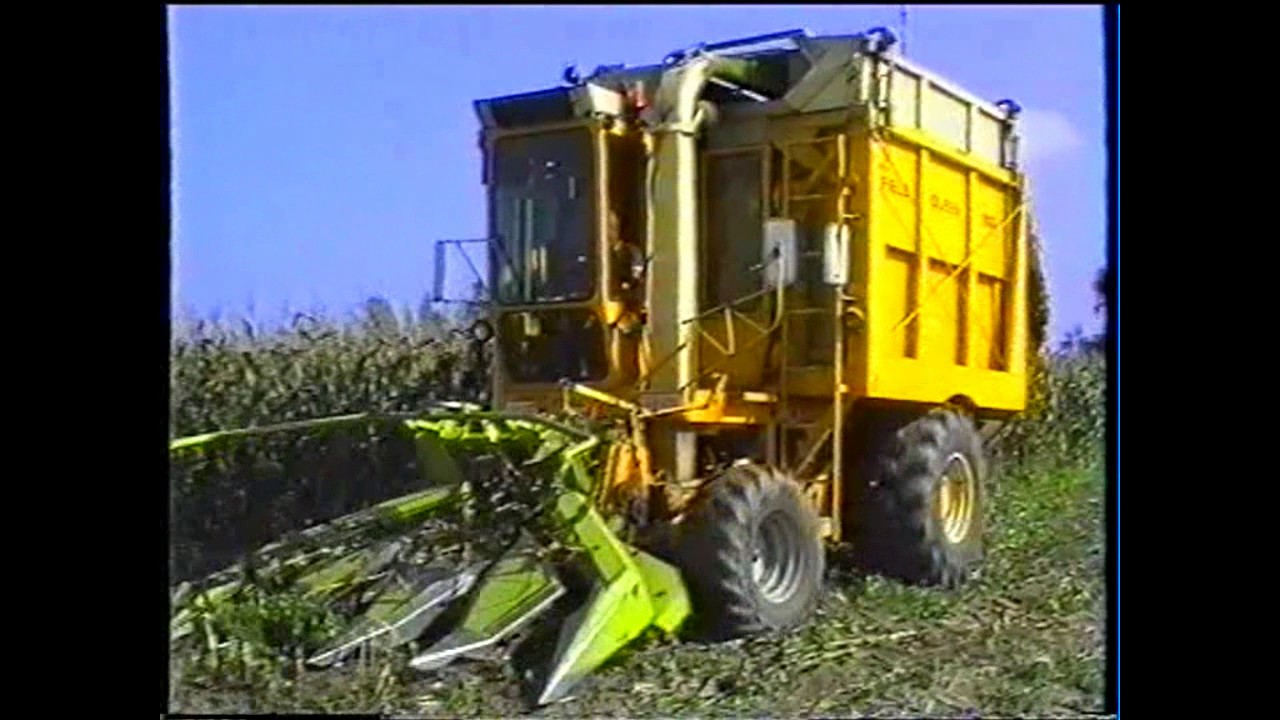 Loonw. Maertens - Ruddervoorde - Hesston Field Queen 7655