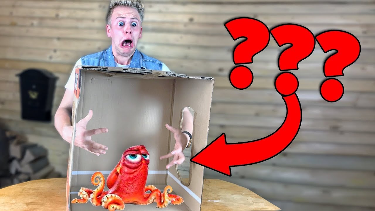 WAS ist in DIESER BOX? 😱 - CHALLENGE GEHT SCHIEF ! II RayFox