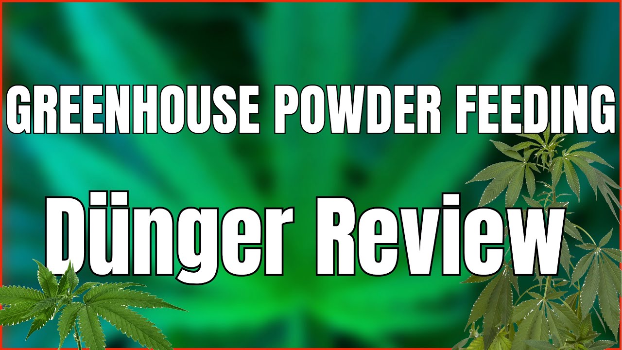 GREENHOUSE POWDER FEEDING - TOP D&Uuml;NGER F&Uuml;R ANF&Auml;NGER?