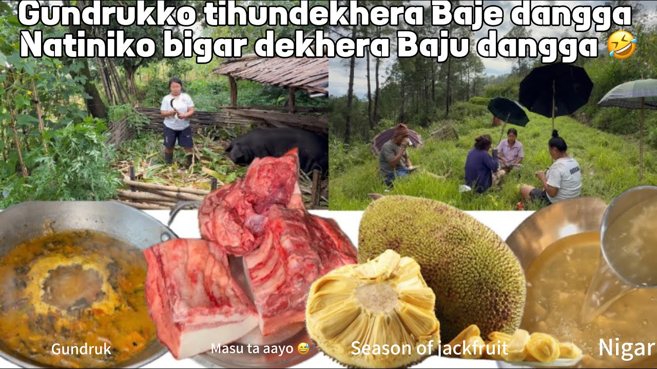 Aaja natiniko bigar dekhera Baju daggai 🥴 || Baje Gundrukko tihun dekhera makkha😅