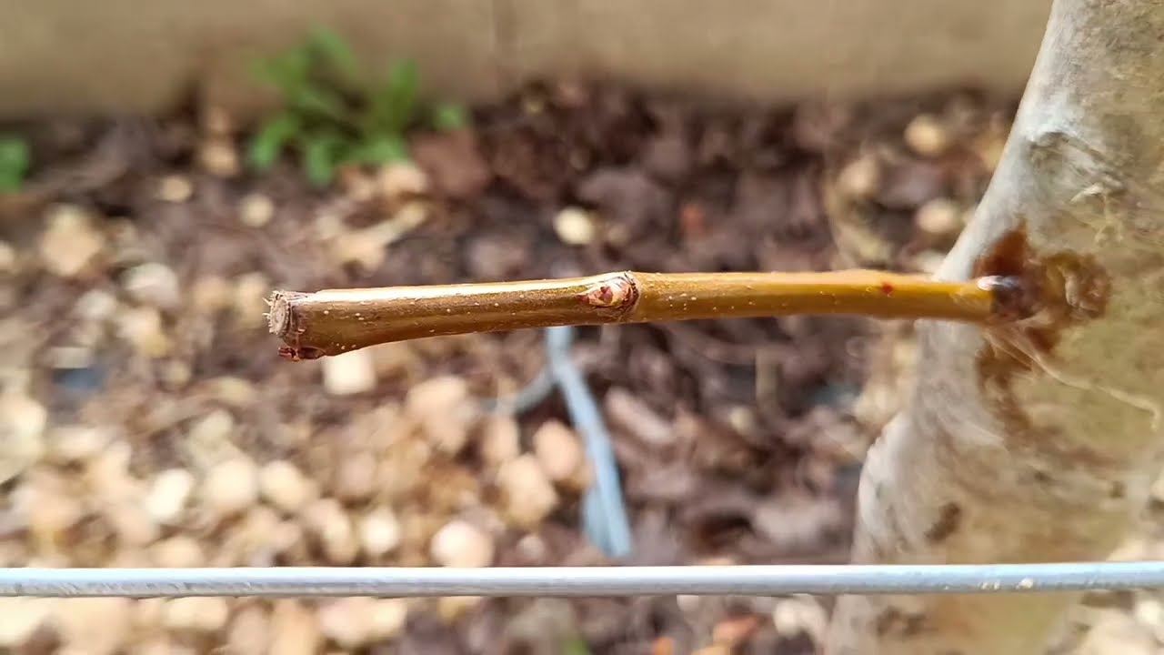 vrublovanie pomocou vŕtačky