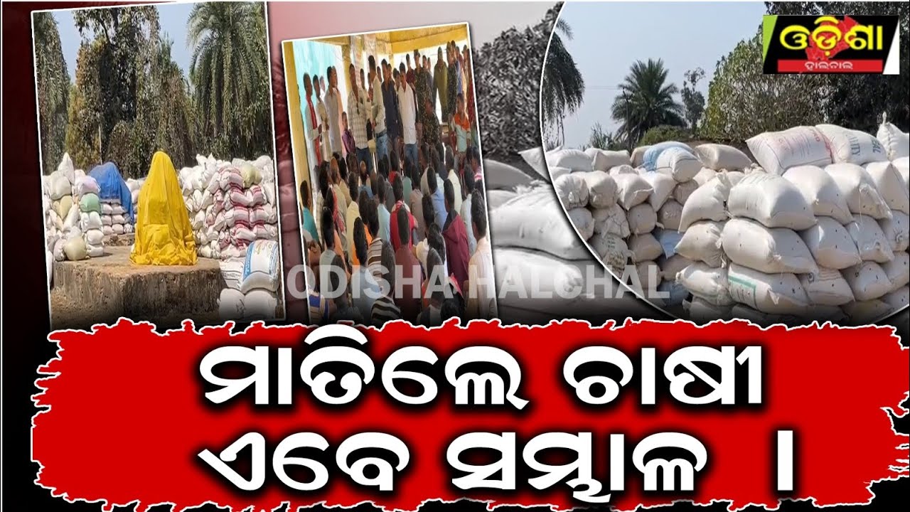 ସମସ୍ୟା ସହି ସହି ଶେଷରେ ମାତିଲେ ଚାଷୀ || Odishahalchal 