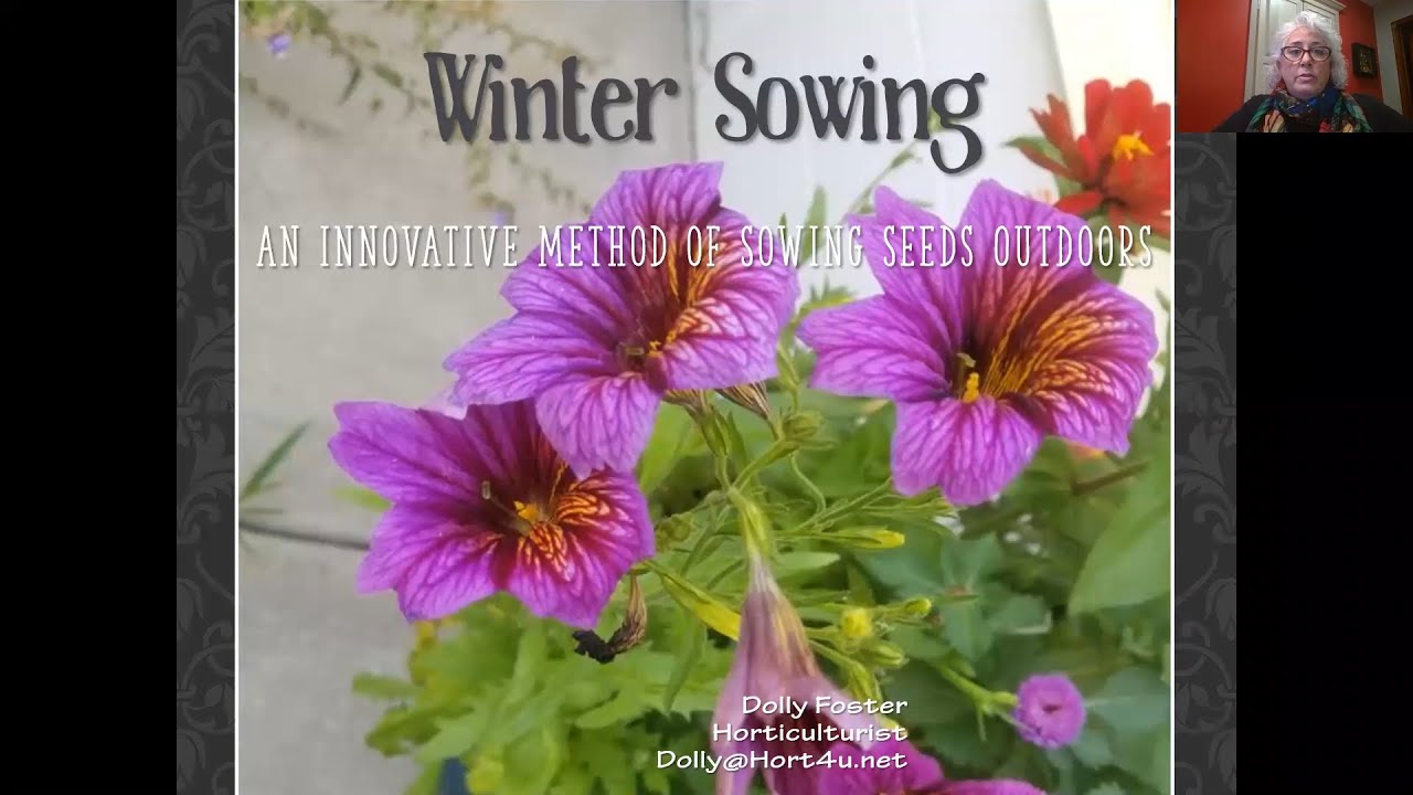 IUN Community Garden: Winter Sowing - 2020