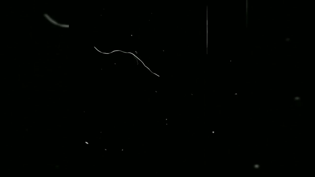 Old Film Grain | Video overlay (Download)