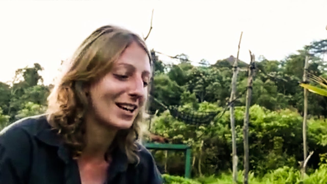 Meet The Team At The Samboja Lestari Orangutan Volunteer Project | The Great Projects