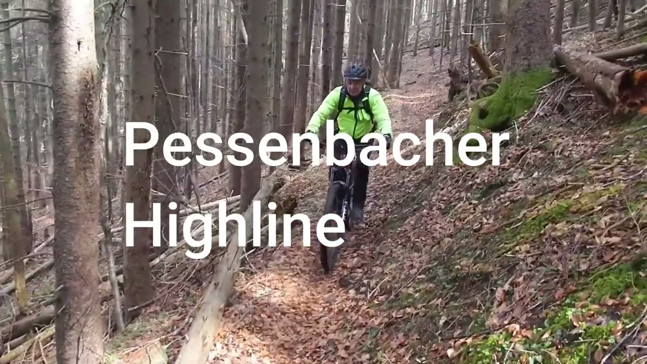 auf tollen Trails ums Kochler Moos