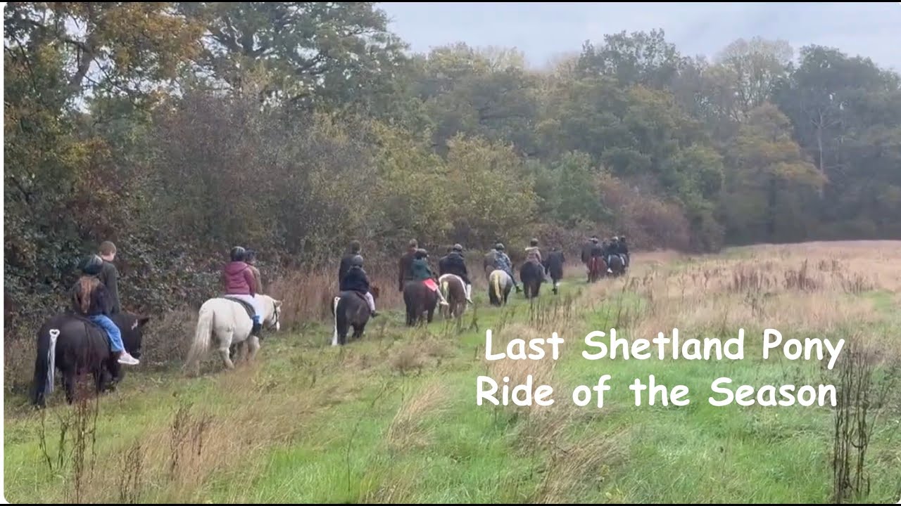 Last Shetland Pony Ride of the Season TV episode 572