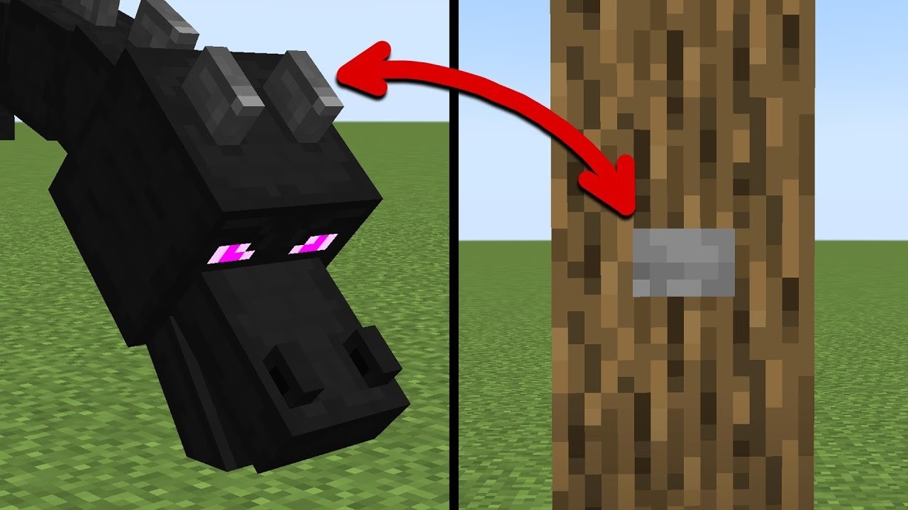 things you will never unsee...