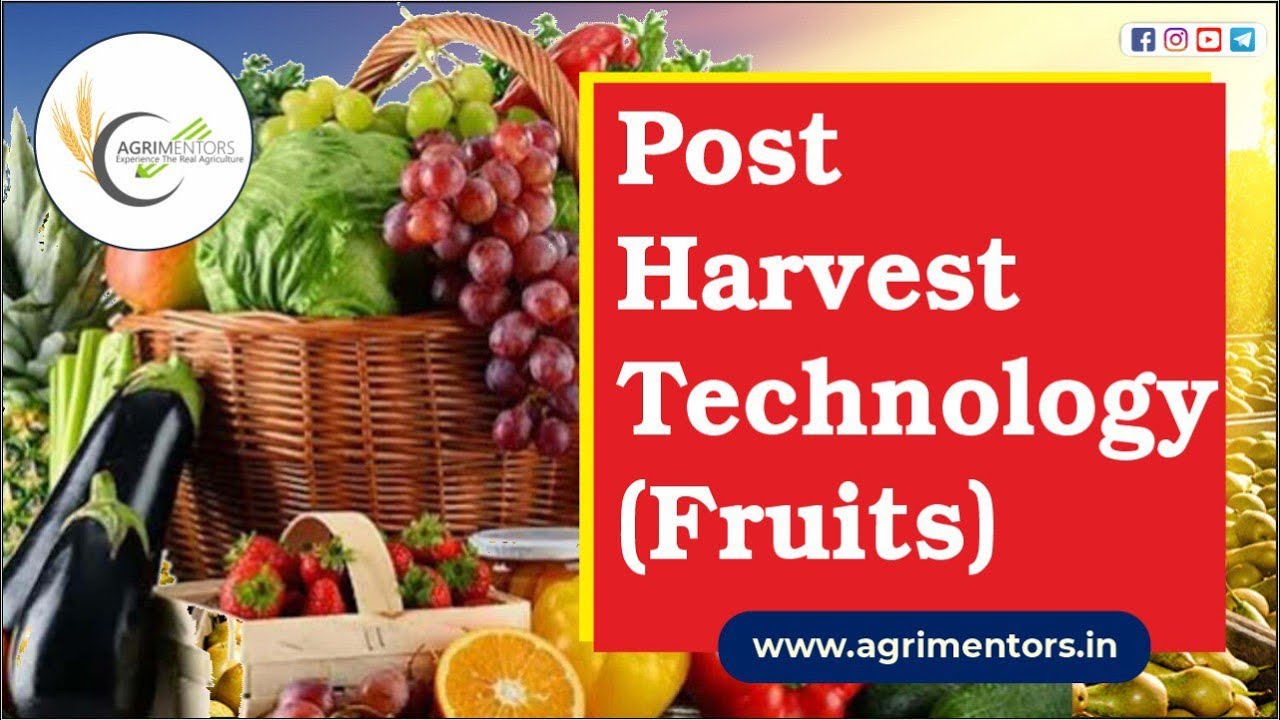 Post Harvest Technology in Fruits (Horticulture) | Learn Agriculture with AGRIMENTORS