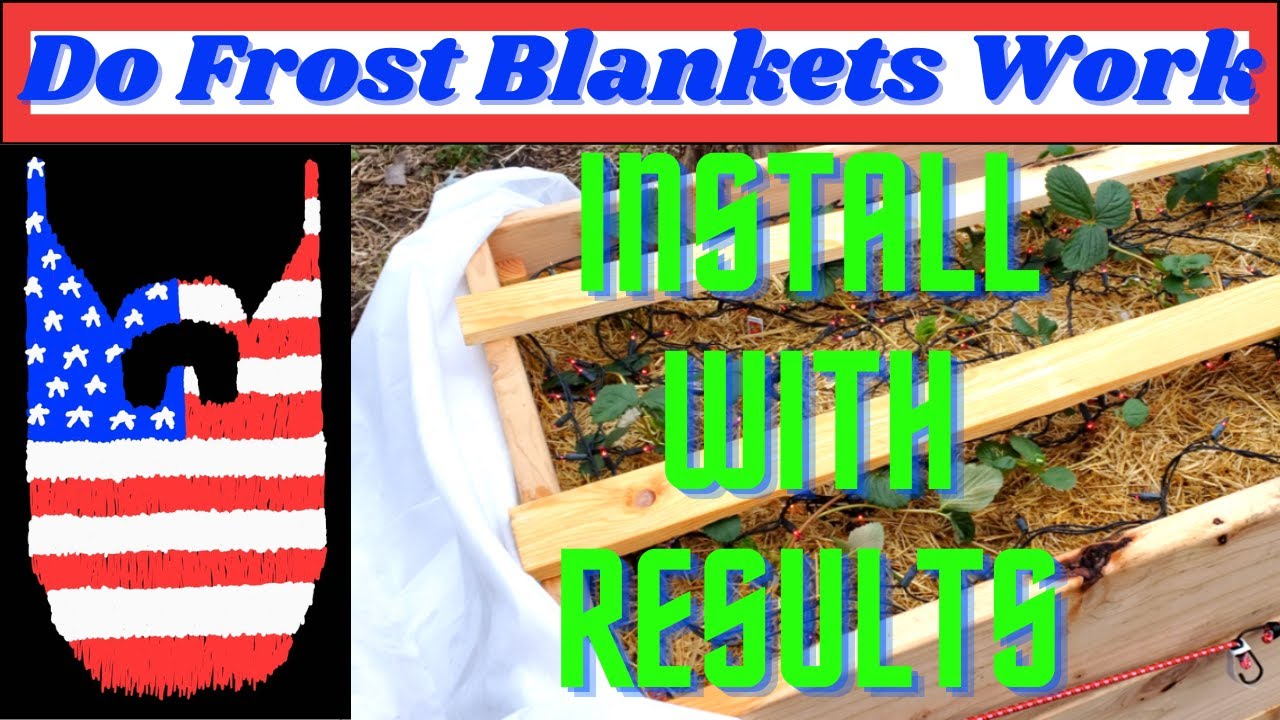 Frost Blanket Setup and Results