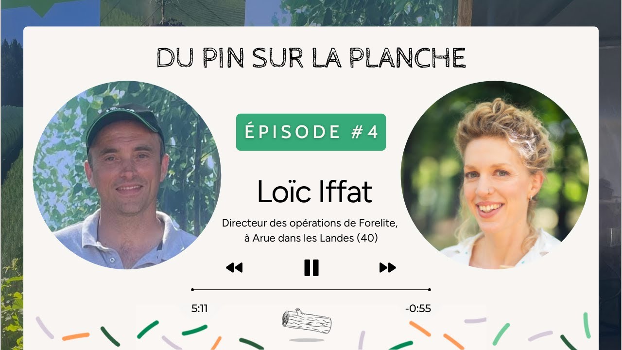 Préparer les plantations forestières grâce à l’expertise humaine - Loïc Iffat