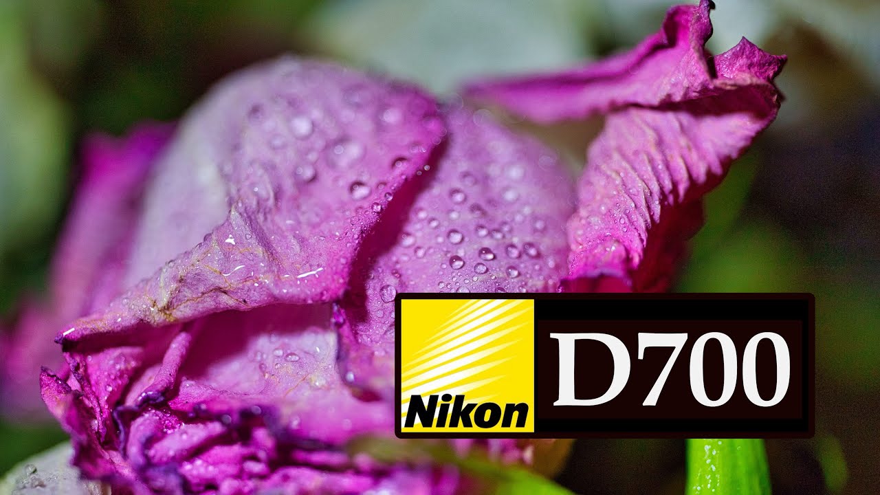 Nikon D700 | Camera $204 Full Frame Powerhouse for Stunning Photography Class 452