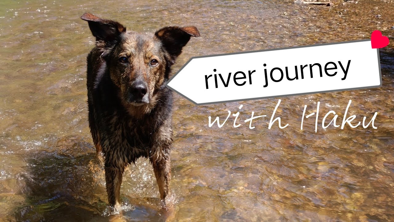 River journey/ Flusswanderung