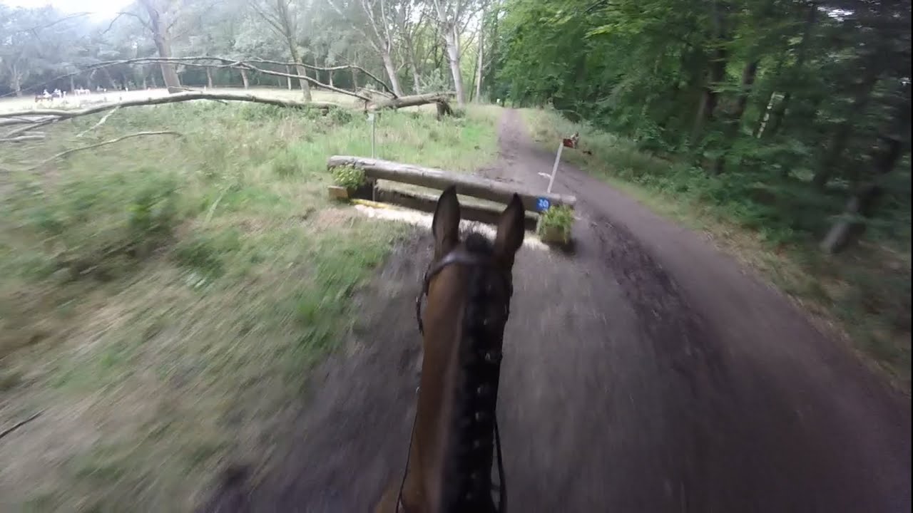 Sgw Dijkgatbos 2025 - L paarden