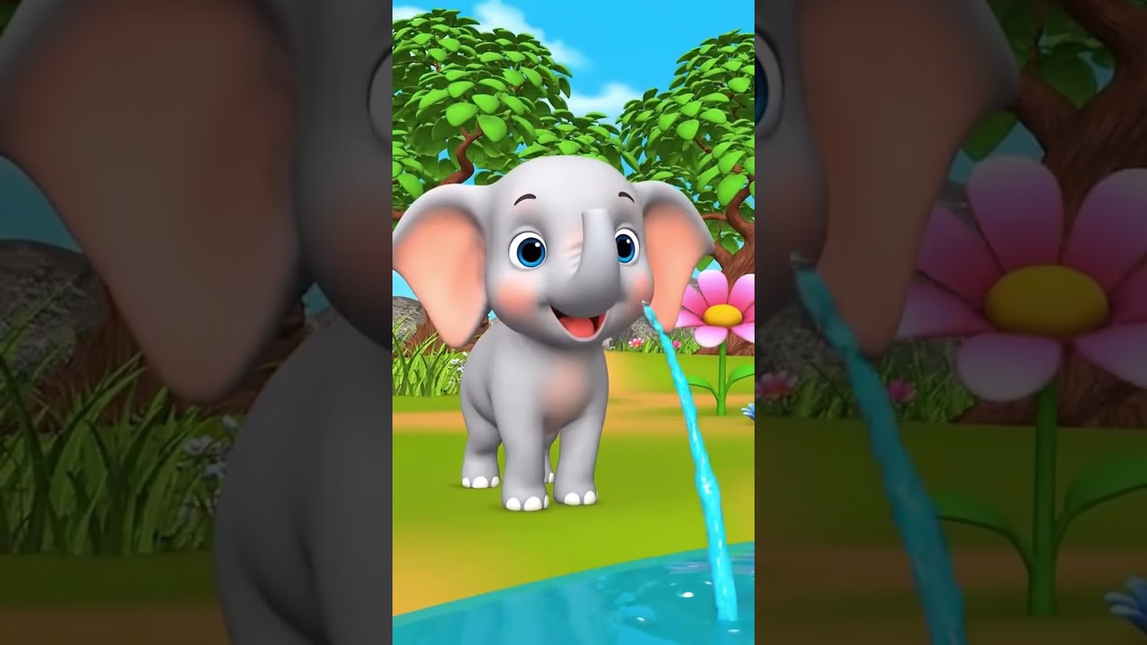 Cute Baby Elephant Water Loop 🐘💦 | Kids Cartoon 