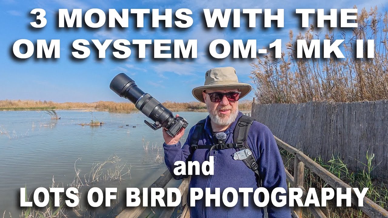 Water Bird Photography and Three Months with the OM System OM 1 Mk II