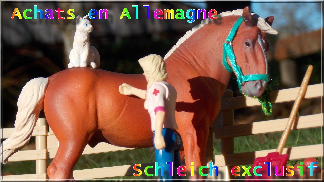 Achats en Allemagne et Schleich exclusif