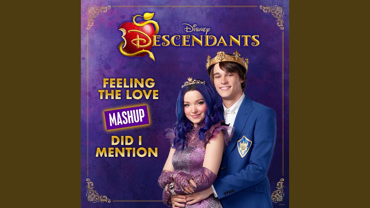 Feeling the Love/Did I Mention Mashup (From 