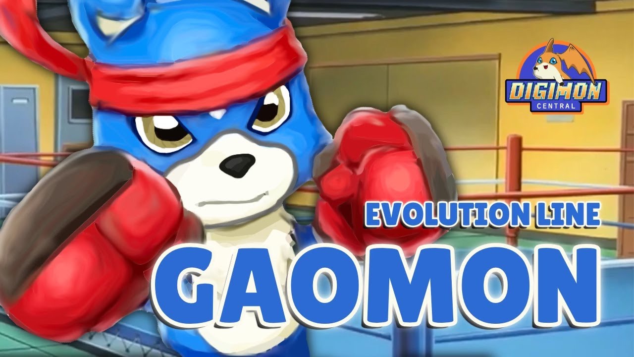 Gaomon Evolution Line