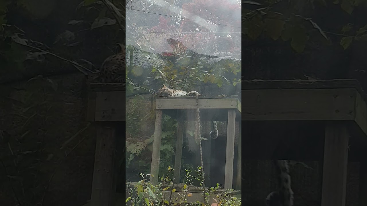 J92 