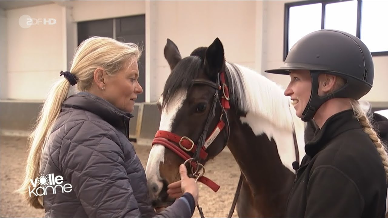 Pferd geht durch und ist wild unterm Sattel – so bekommst du wieder Kontrolle | Andrea Kutsch im ZDF
