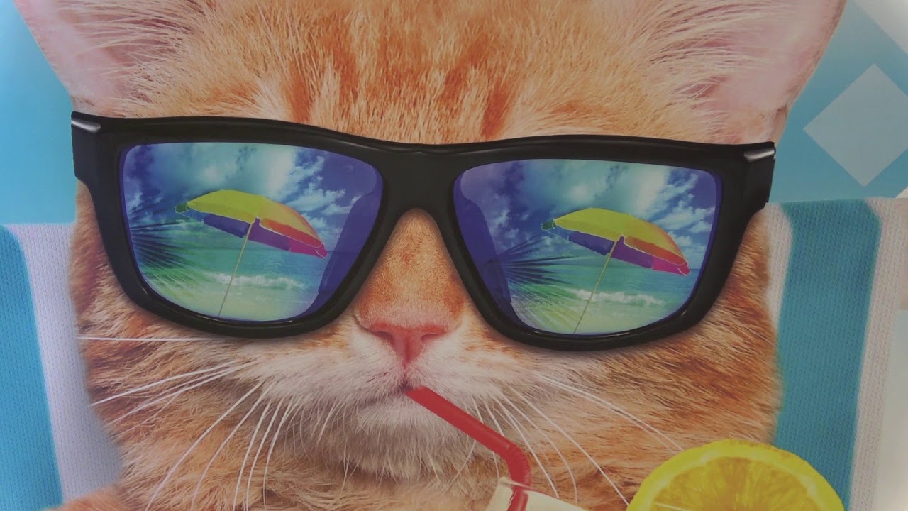 Les Matoulonnais I Club de Vacances pour Chats Sudistes - Crowdfunding
