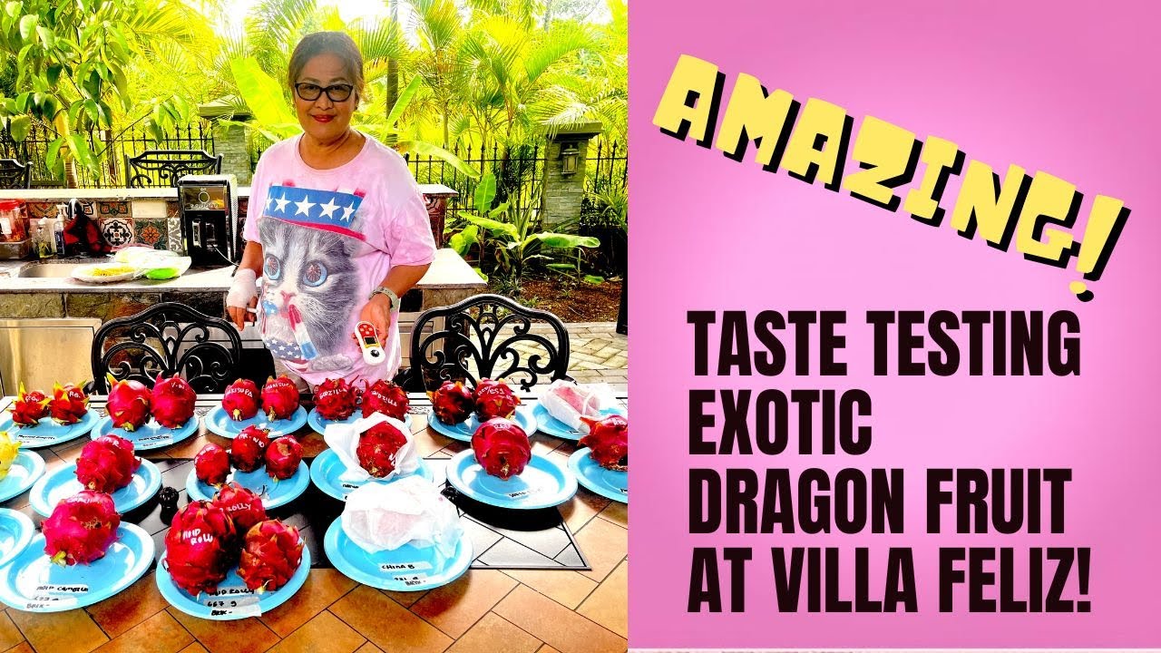 I've Never Eaten So Many Dragon Fruits In My Life!