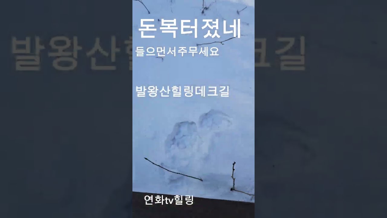 돈복 재수복 #힐링노래 발왕산데크길  힐링데크길  