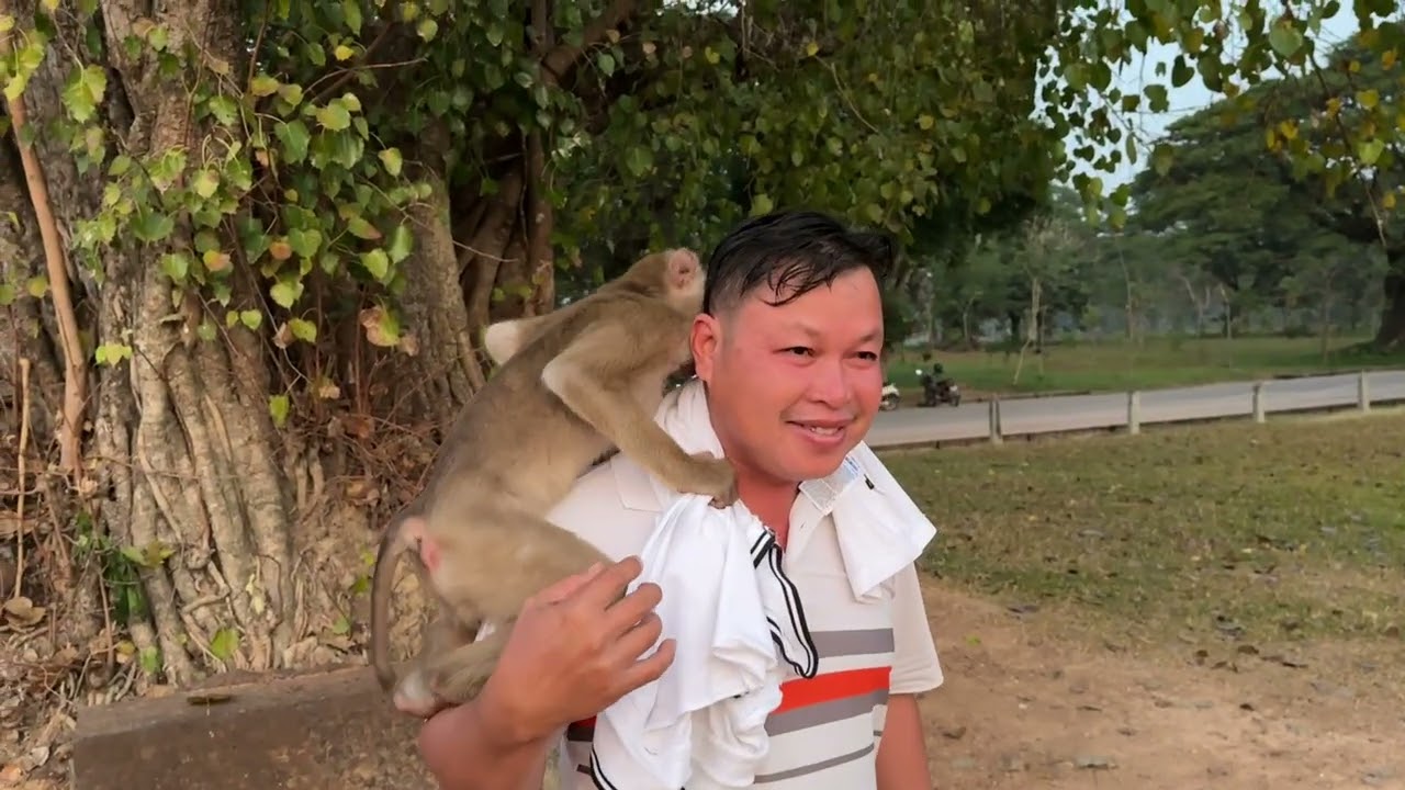 Ankunft in Siem Reap und Tempel Marathon 