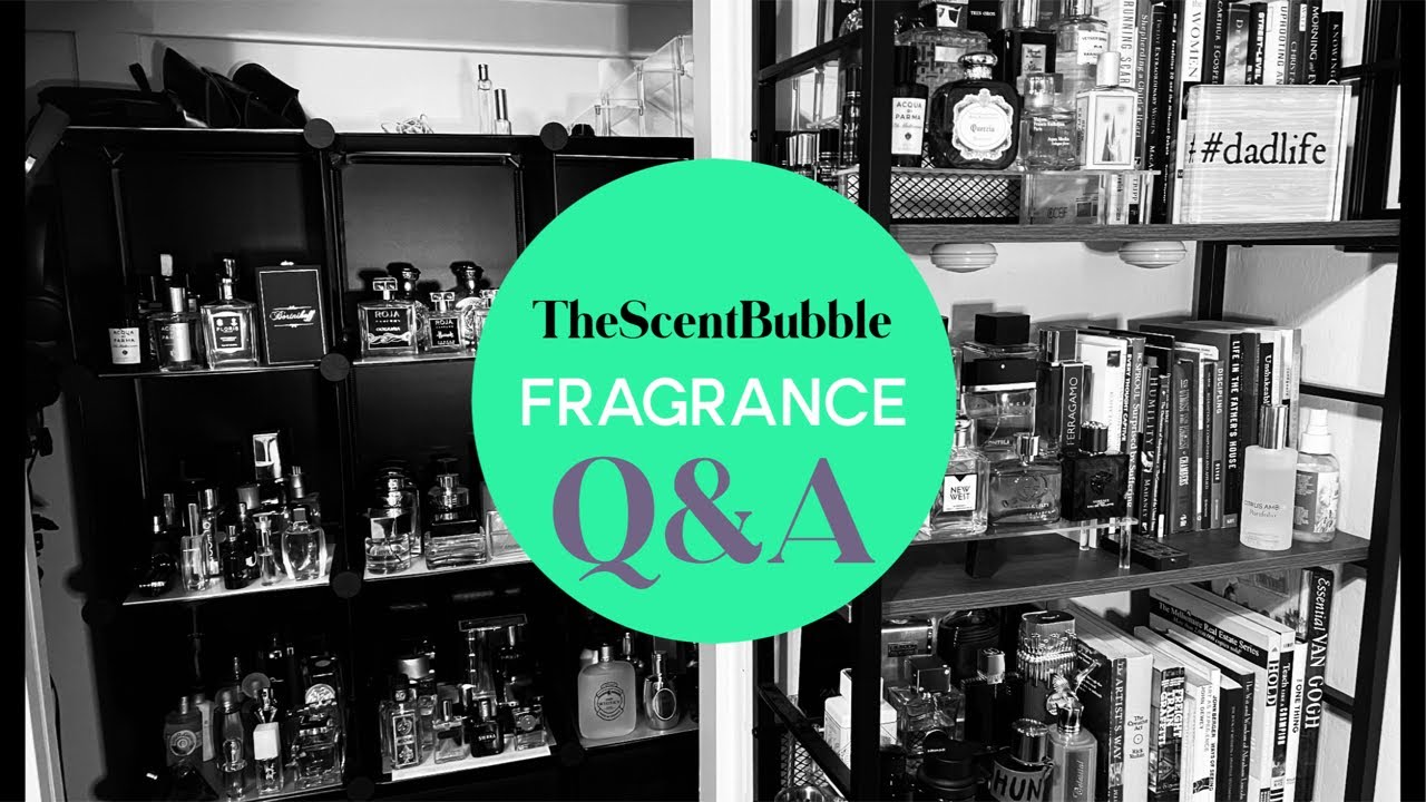 🧸🫧 Fragrance Q&A Lounge 🫧🧸