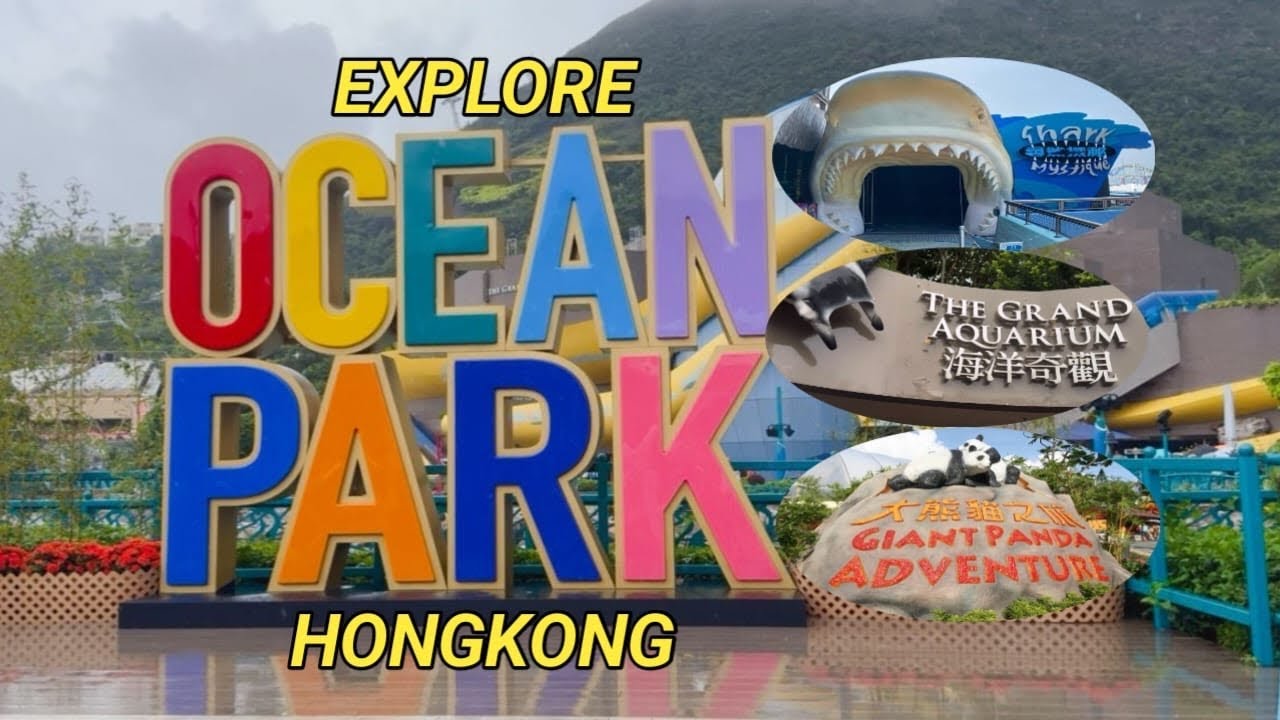 EXPLORE OCEAN PARK HONGKONG SAAT CUACA HUJAN | LIAT DUNIA LAUT DI THE GRAND AQUARIUM, SHARK MYSTIQUE