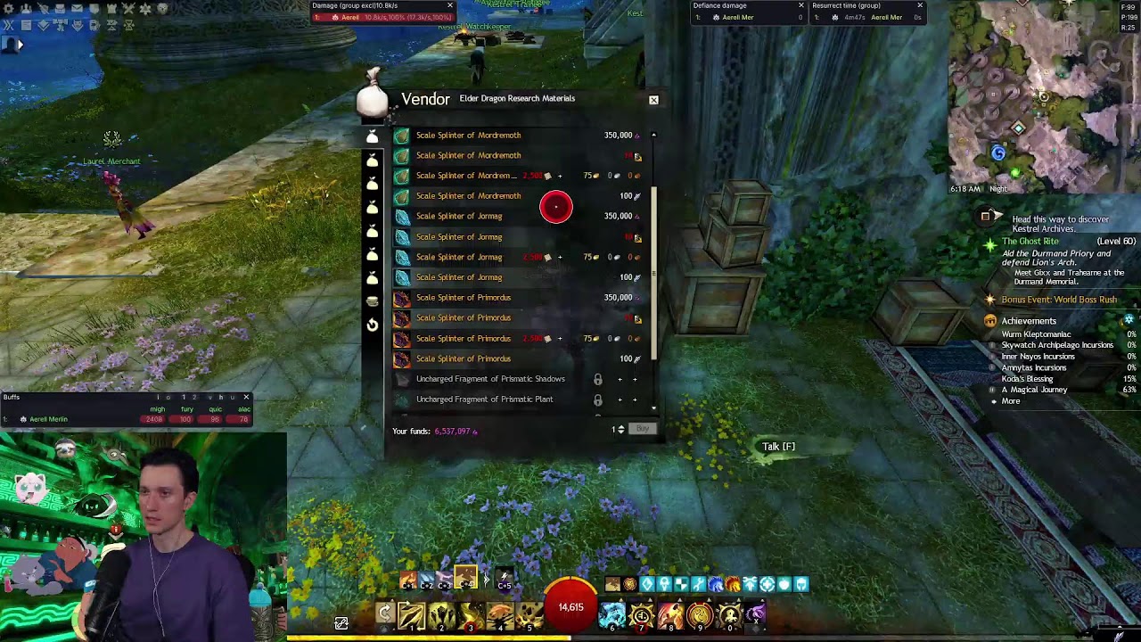 Goon DPS 💣 |  Raids  | FRACTAL CMs | Guild Raids later