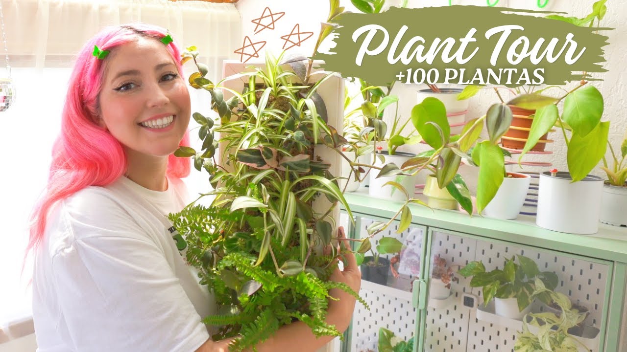House Plant Tour Parte II 💚 te presento Mi habitación de plantas 🌿 y el resto de mi casa