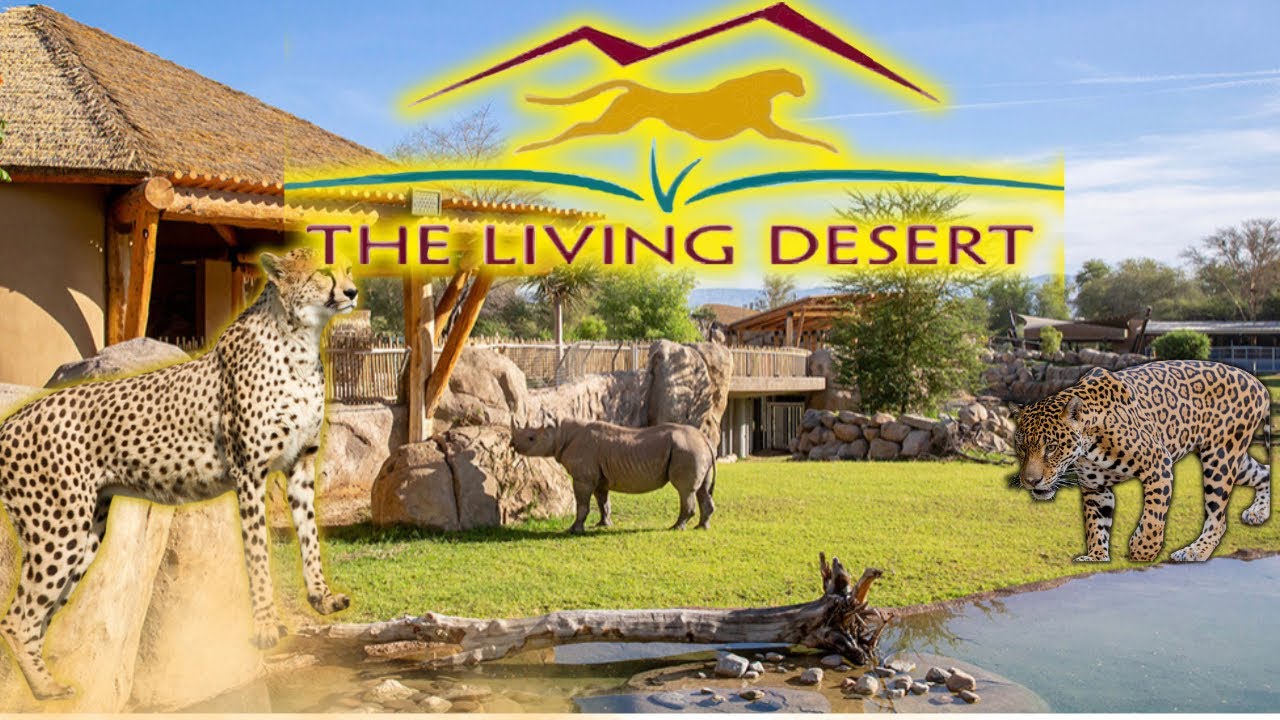 &ldquo;Journey into Nature&rsquo;s Wonderland: Exploring The Living Desert Zoo and Gardens in 2023 Adventures&rdquo;