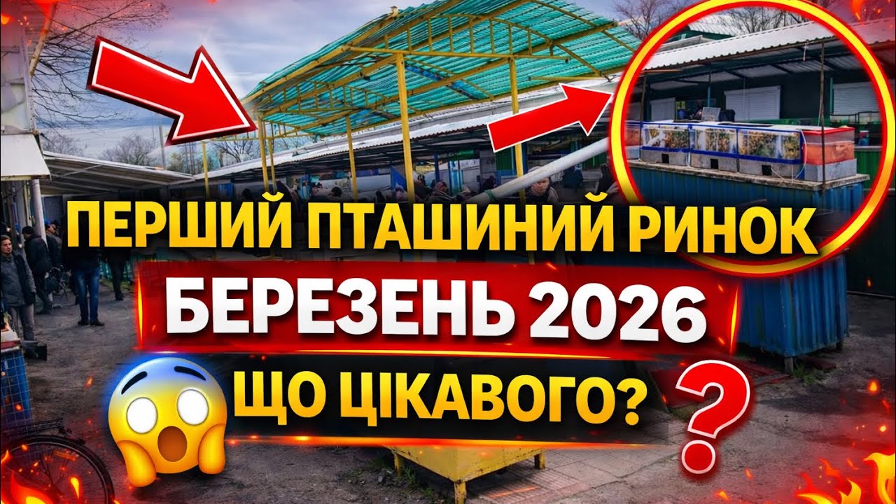 Перший пташиний ринок в березні 2026 що цікавого? 