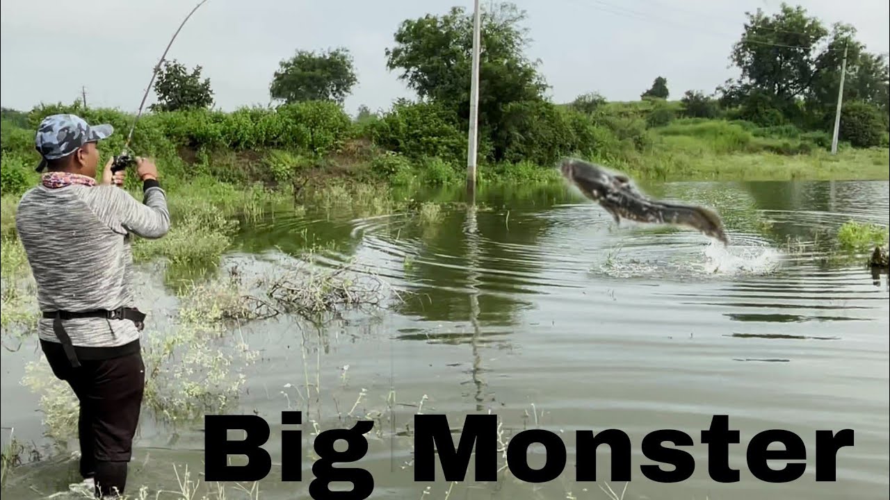 200km जाकर पुराना रिकॉर्ड तोड़ दिया//Big monster size snakhead fishing 😱😱😱