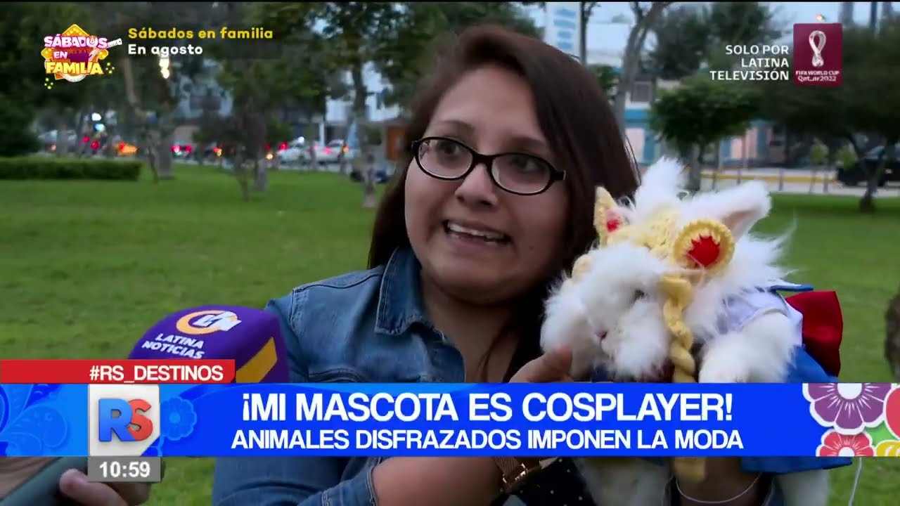 🔴 #ReporteSemanal | ¡Mi mascota es cosplayer!, animales disfrazados imponen la moda.