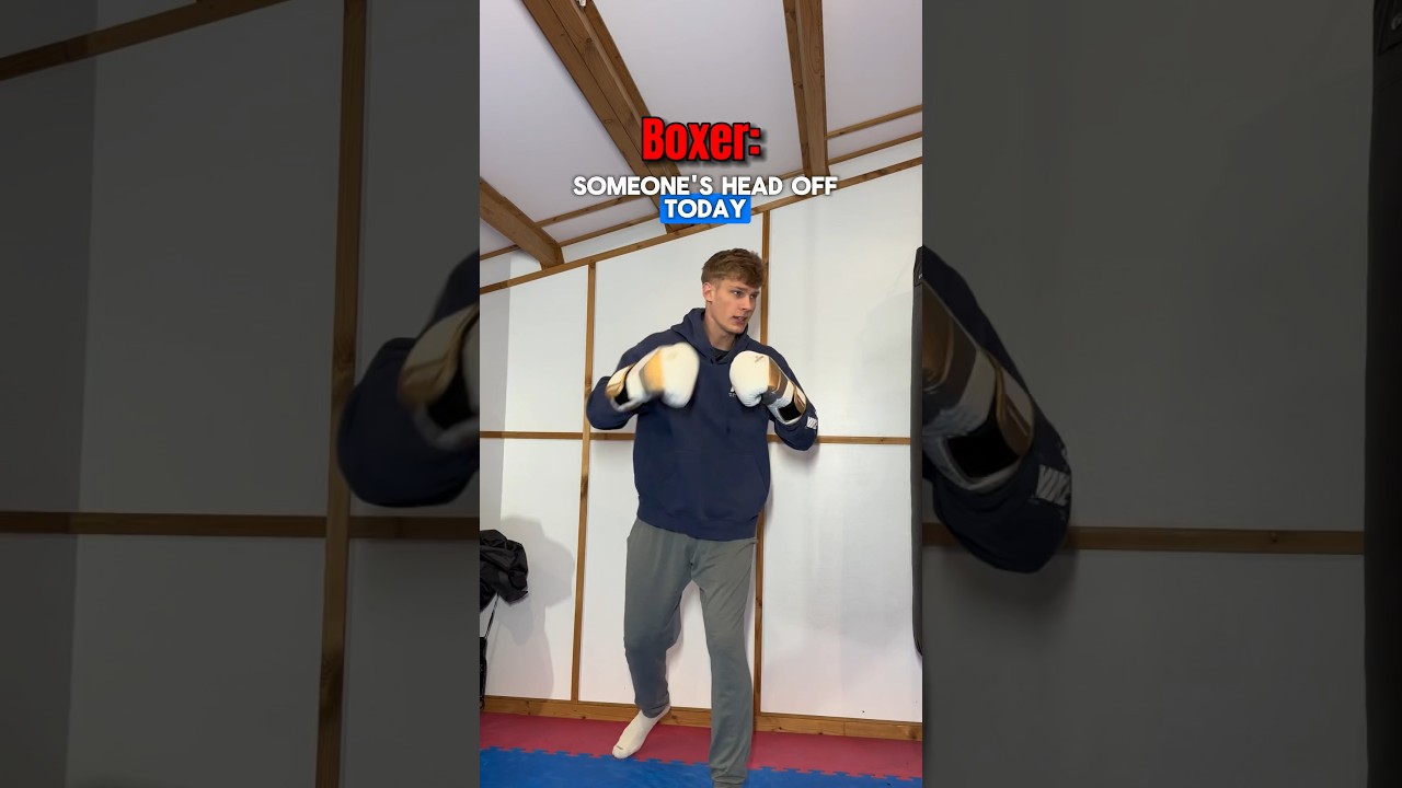 Boxer VS Karate&hellip;