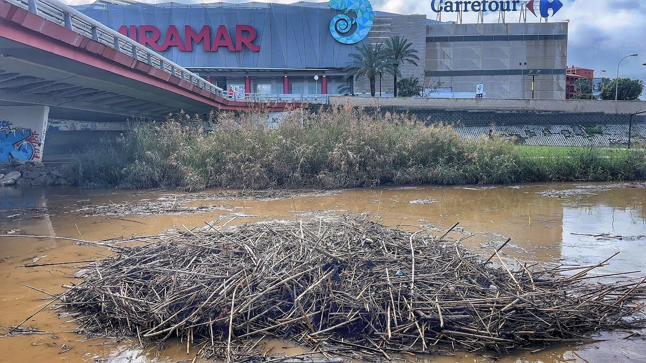 Río Alaminos (Fuengirola) borrasca Jana 9/3/2025