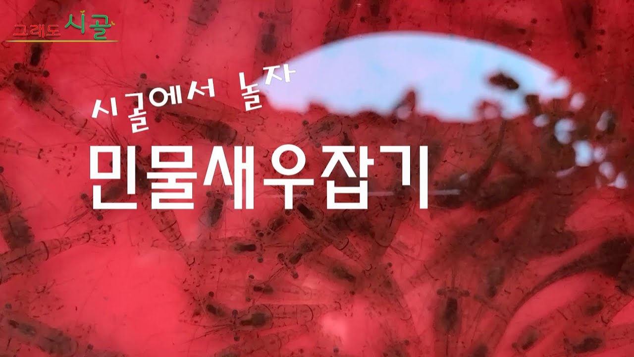 시골 저수지 민물새우잡기 현실부부 중년생활