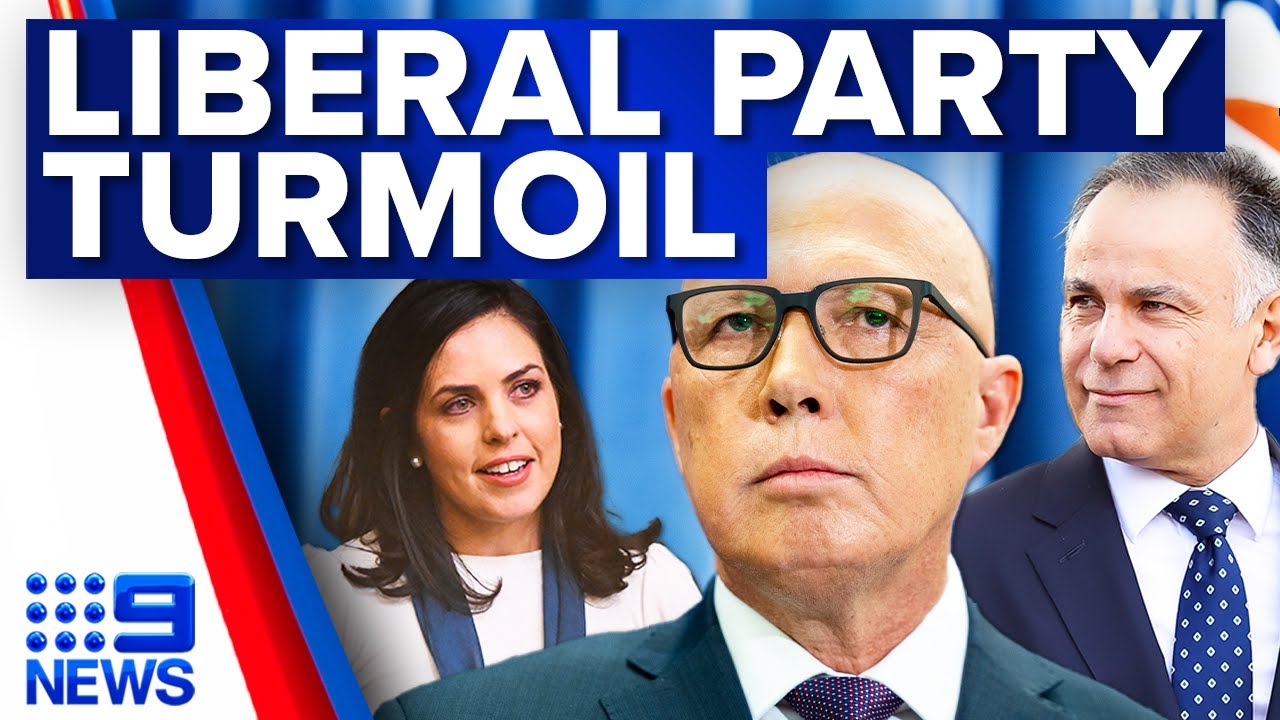 Victorian Liberal leader seeks to permanently oust rogue MP | 9 News Australia
