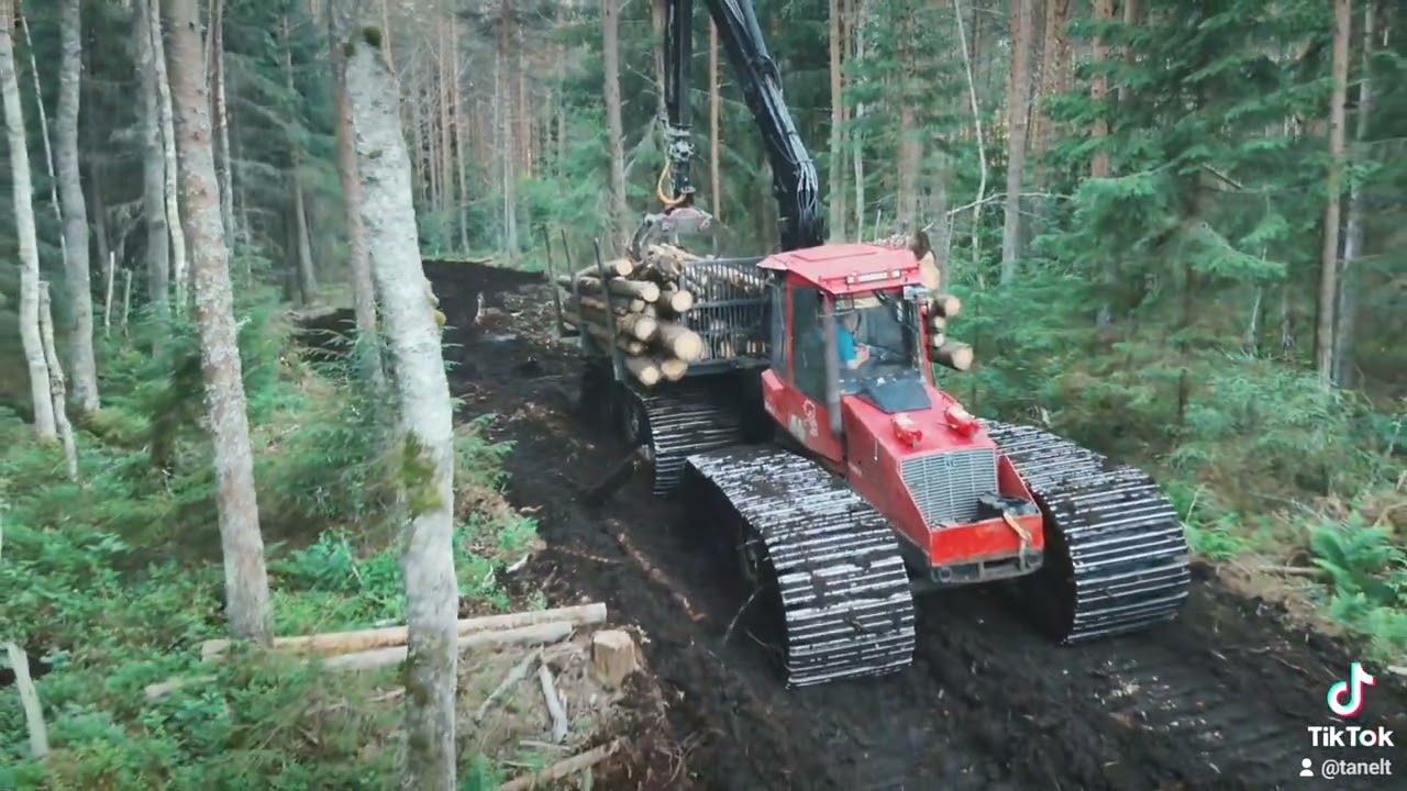Suohirviö works in swamp area