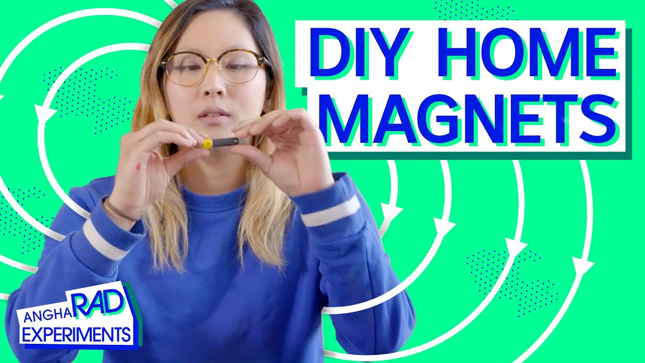 Can Dogs Sense Magnetic Fields? | Rad Science Experiments