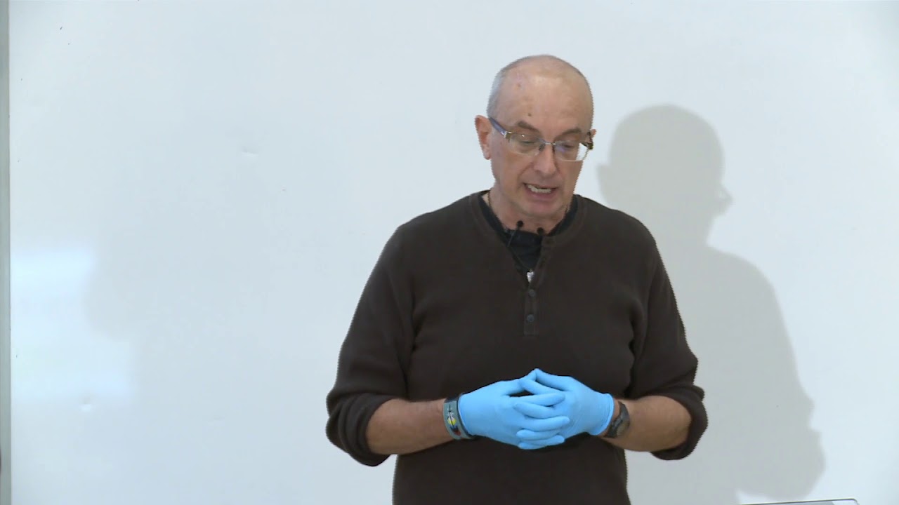 Ptaki wodne 2, dr hab. Paweł Oglęcki