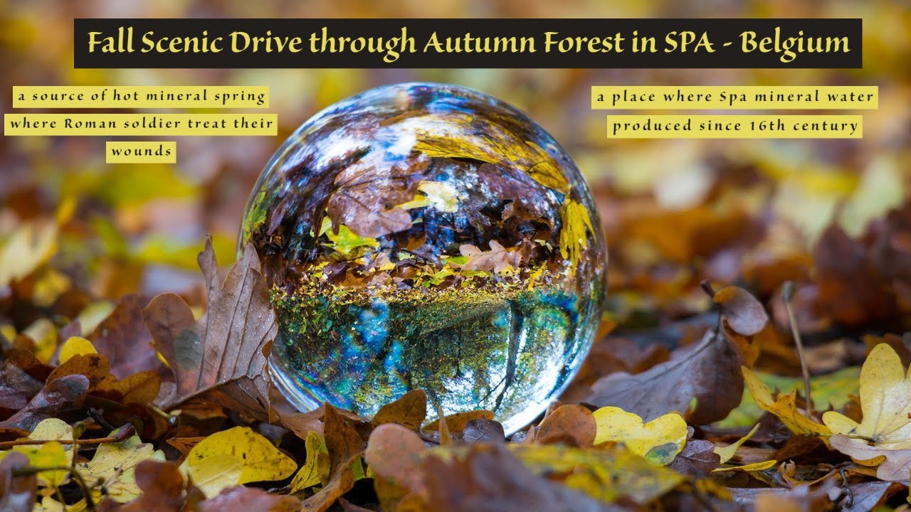 Stay at Home and watch this Road Trip to SPA-Belgium | Fall Scenic Drive through Autumn Forest
